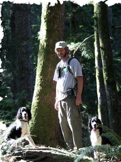 English Springer Spaniel Central Oregon 