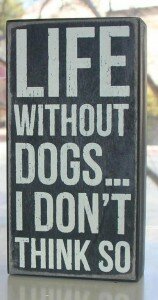 English_Springer_Spaniel_puppy_puppies_LifeWithoutDogs